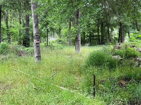 Photo of 1031 Martinez Street, Coldspring, TX 77331 (MLS # 40341421)