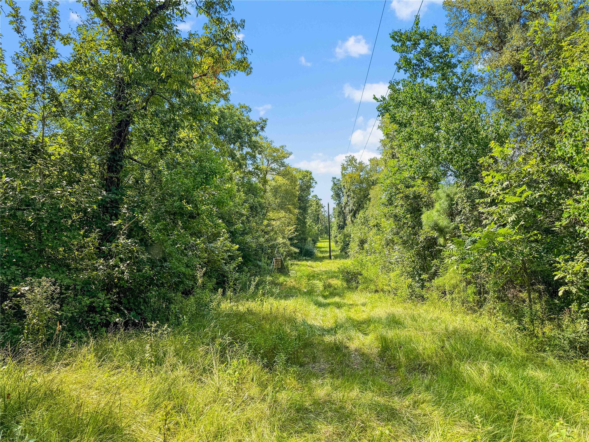 1100 County Road 2306