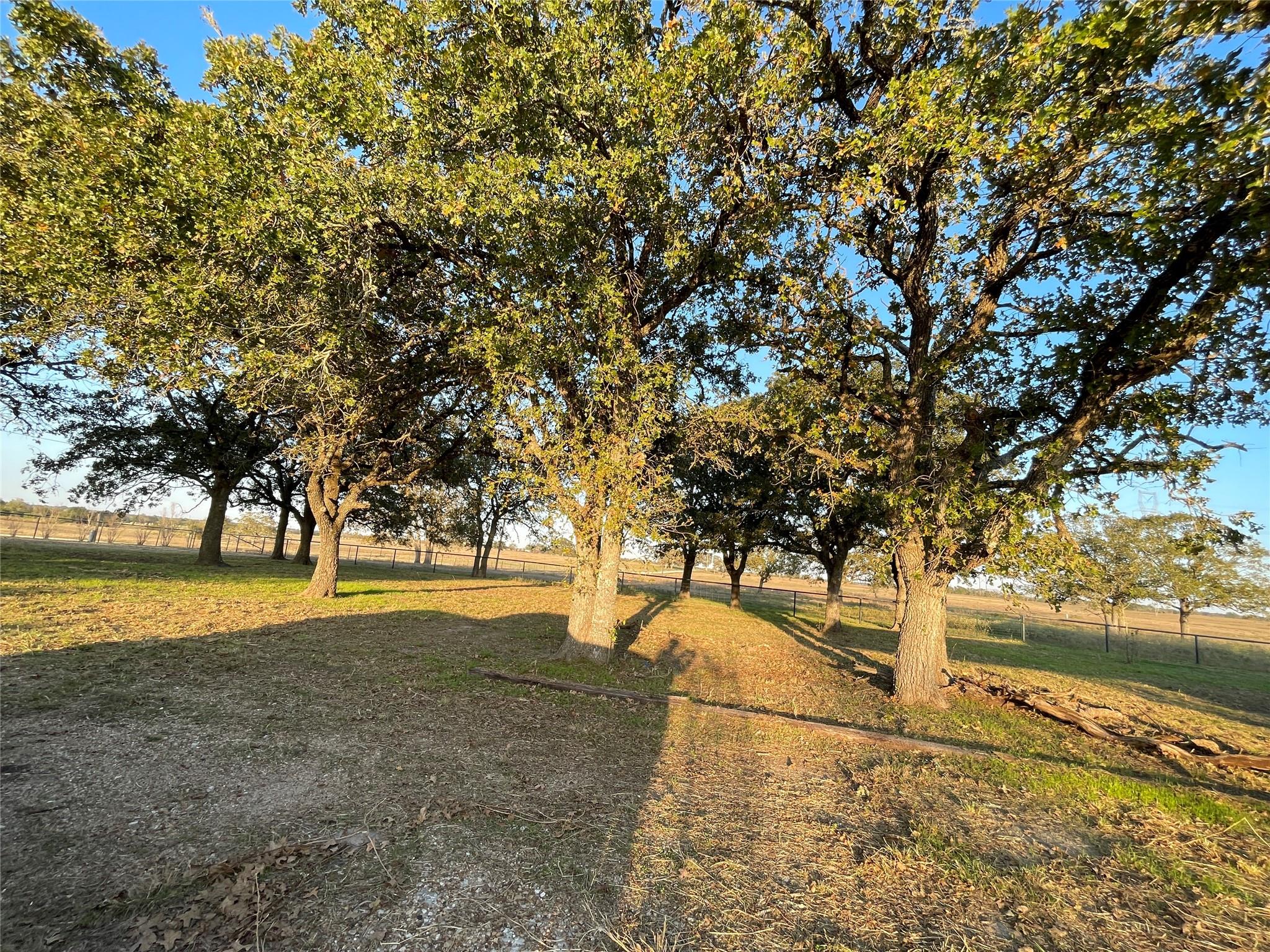 TBD County Road 228 Tract 1