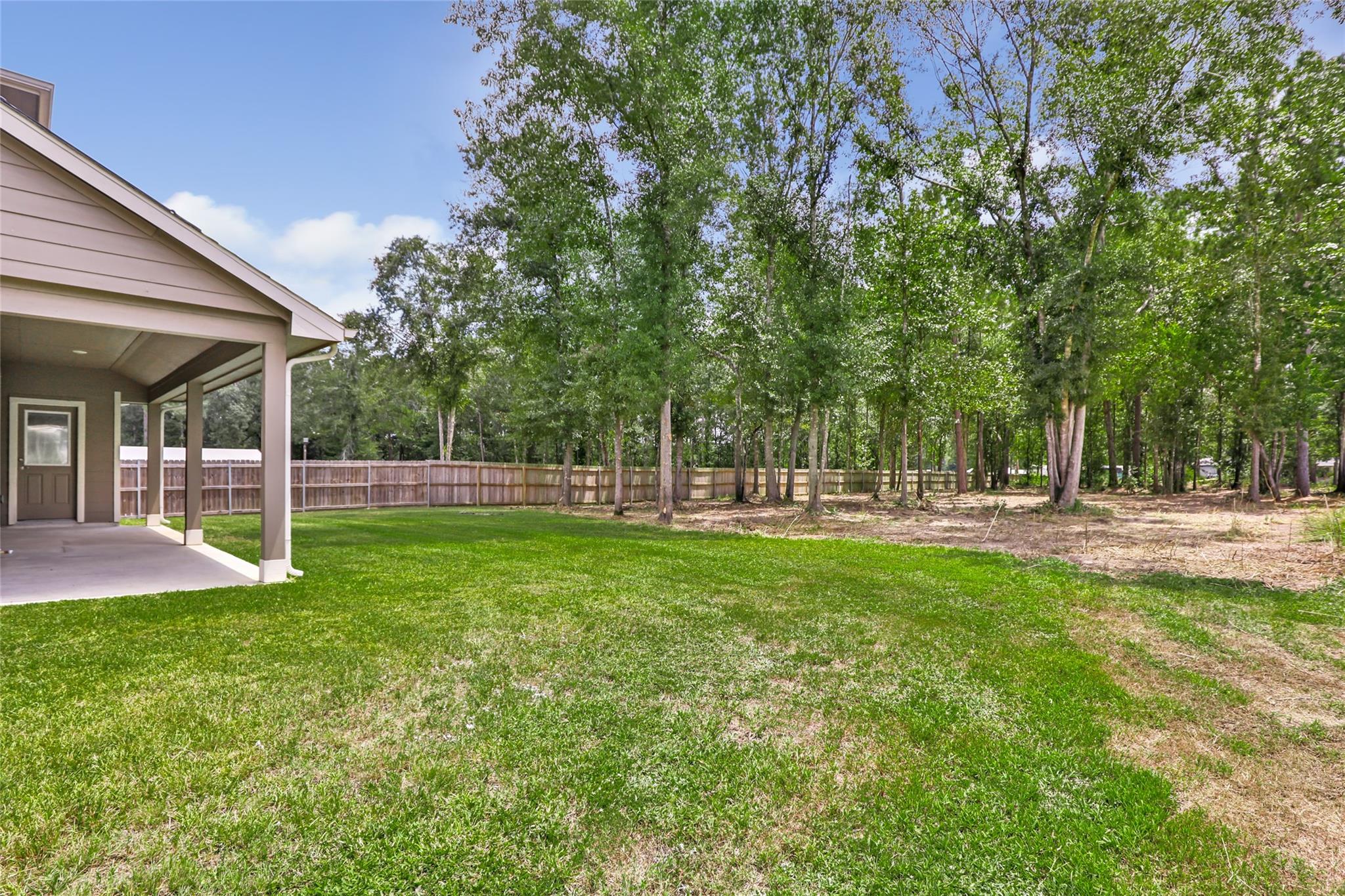 22616 Tree Monkey Road