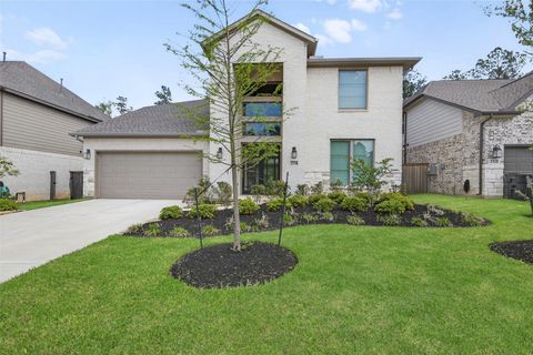 234 Butterfly Orchid Court Conroe TX 77318