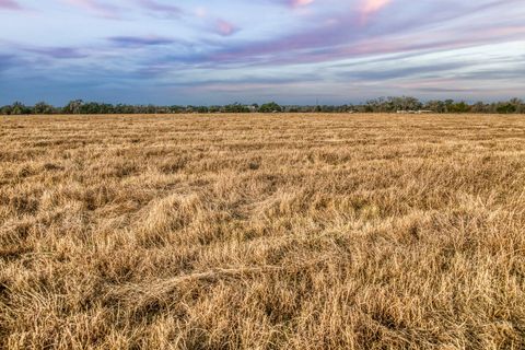 Vacant Land For Sale - 10444 County Road 318<br/> Caldwell, TX 77836