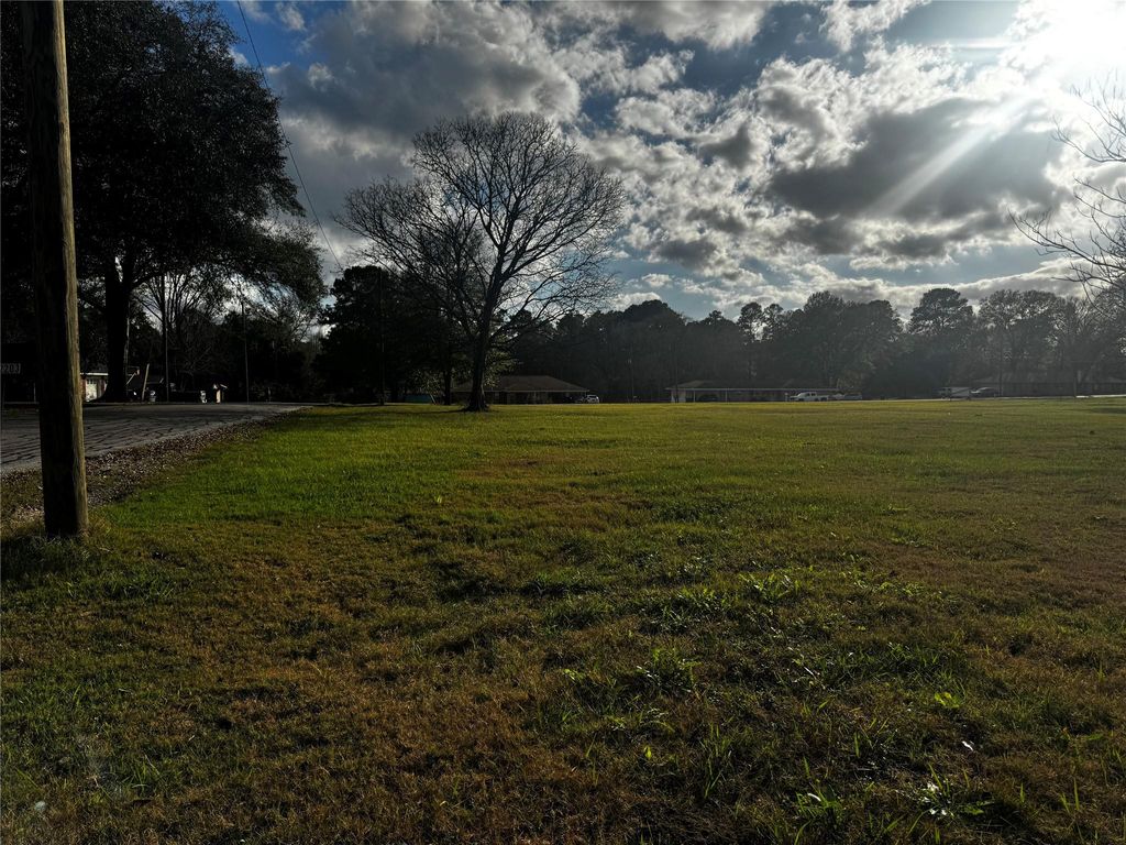 Photo of 2203 Shannon Drive, Huntsville, TX 77320 (MLS # 6713150)