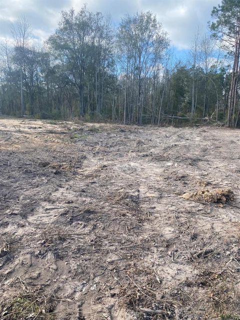 Vacant Land For Sale - Railroad Avenue<br/> Shepherd, TX 77371