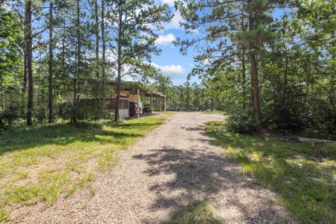 Tiny photo for 9250 E Fm 942, Livingston, TX 77351 (MLS # 3980361)
