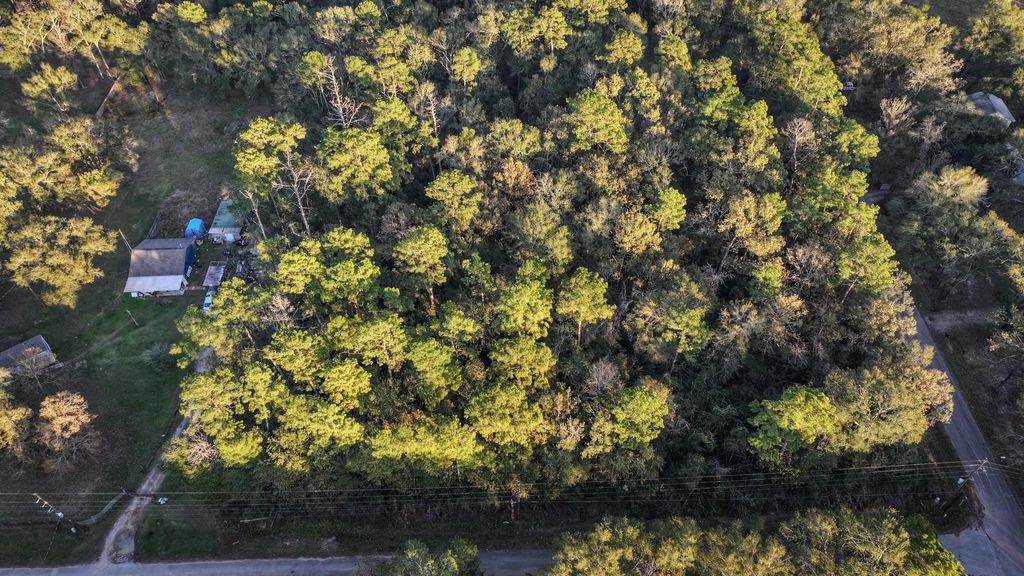 Photo of TBD Holly Drive, New Caney, TX 77357 (MLS # 21439405)