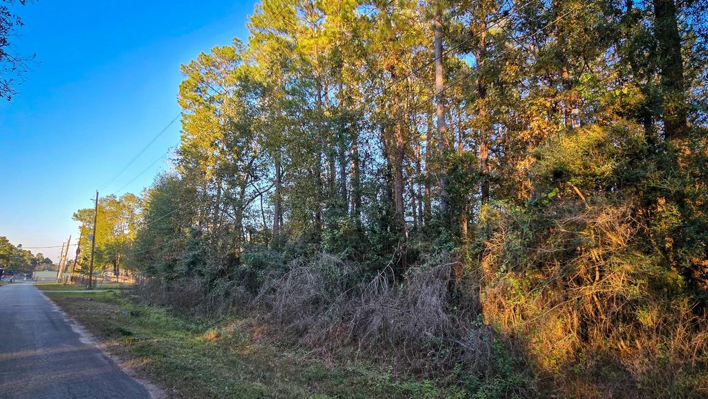 Photo of TBD Holly Drive, New Caney, TX 77357 (MLS # 21439405)