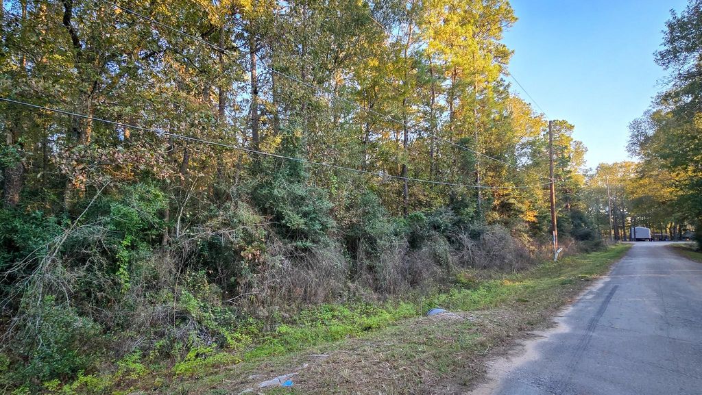 Photo of TBD Holly Drive, New Caney, TX 77357 (MLS # 21439405)