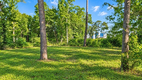 Photo of 0 Betty Joyce Lane, Houston, TX 77338 (MLS # 52979954)