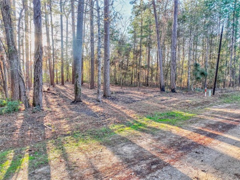 Photo of 171 Pine Shadow Street, Coldspring, TX 77331 (MLS # 69718689)
