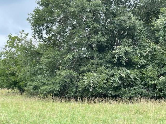 280 County Road 470