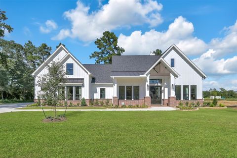 Homes For Sale - 8557 Butler Ranch Court<br/> Plantersville, TX 77363