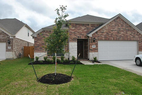 Photo of 4215 Canton Crest Crest, Katy, TX 77494 (MLS # 46461851)