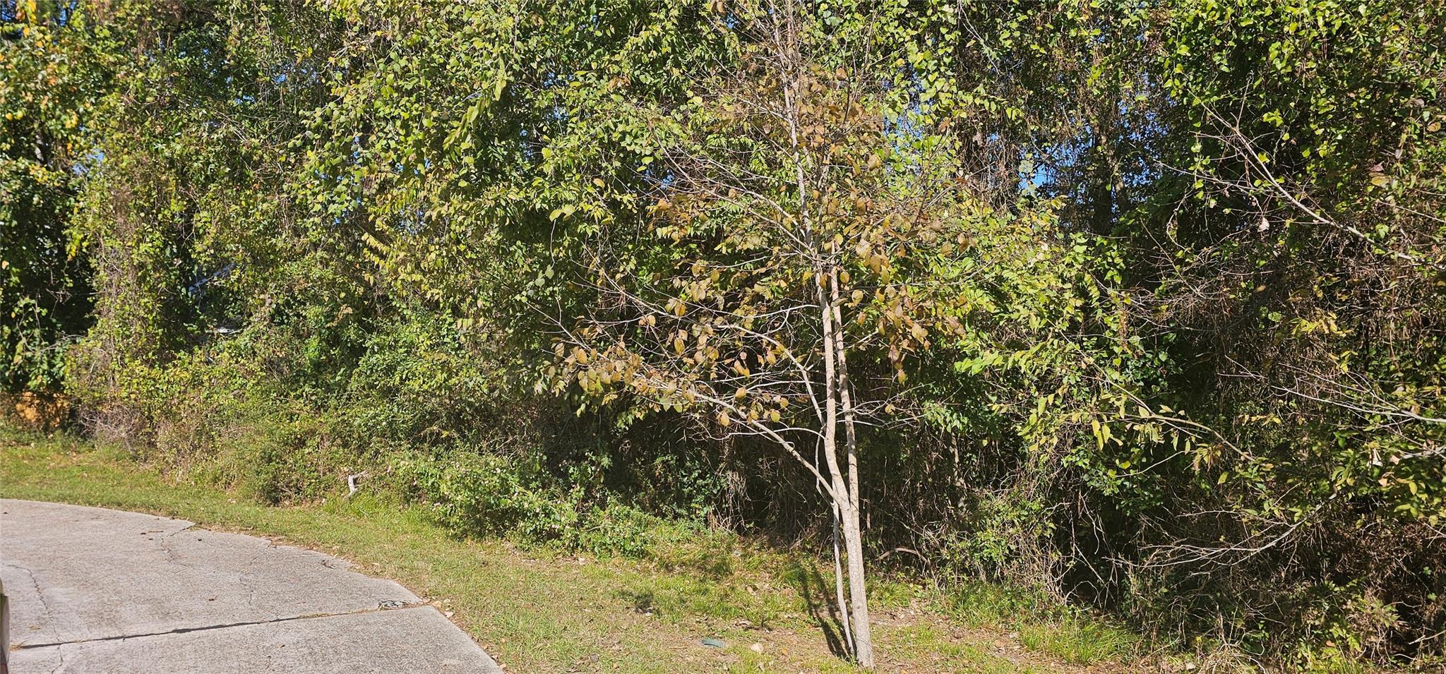 149 Springs Edge Drive
