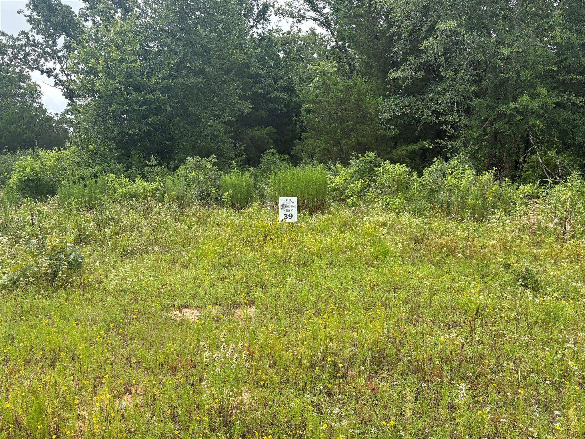 12.3 Acres Fm 489 E