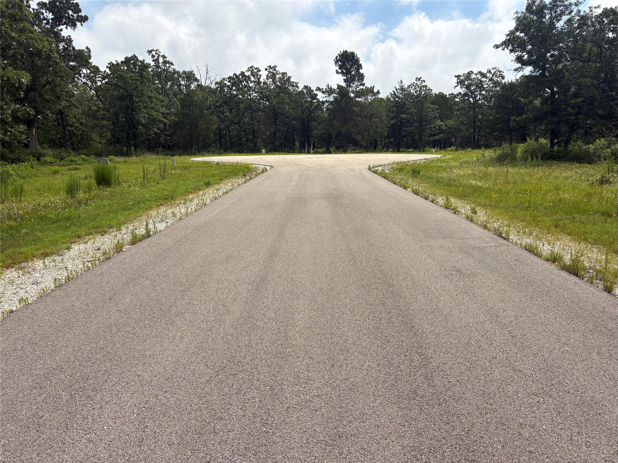 12.3 Acres Fm 489 E