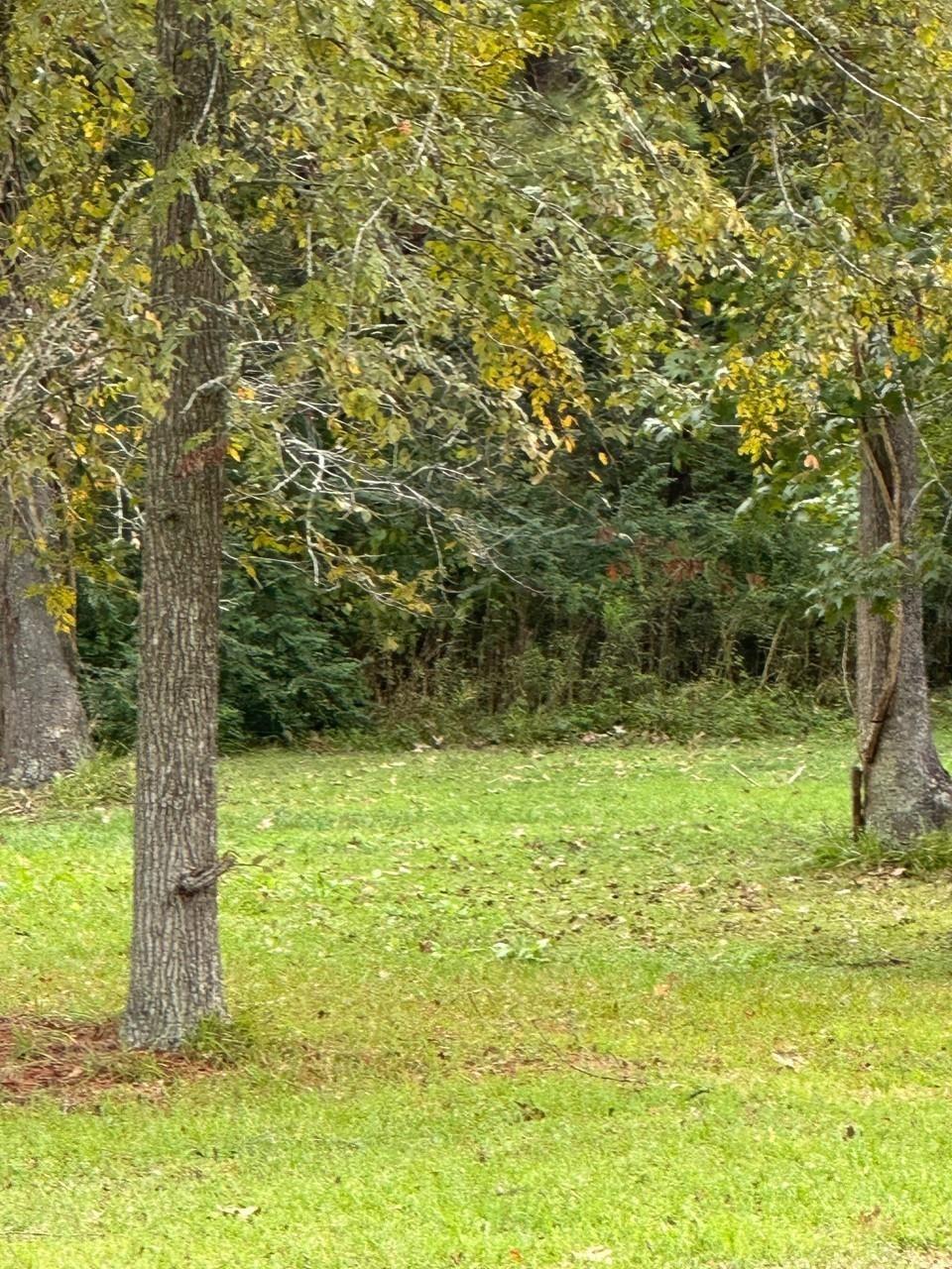 000 Off Of Fm 1409
