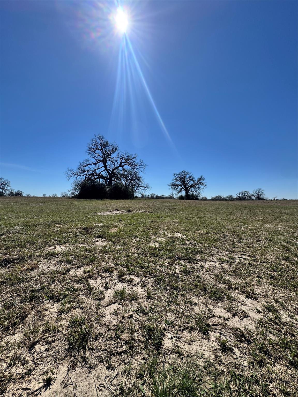 TBD Connor Landing Ct