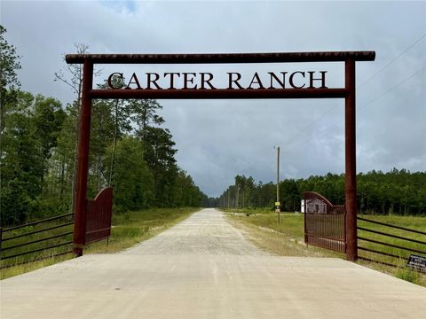 Photo of 7990 Carter Ranch Road, Kountze, TX 77625 (MLS # 49015323)