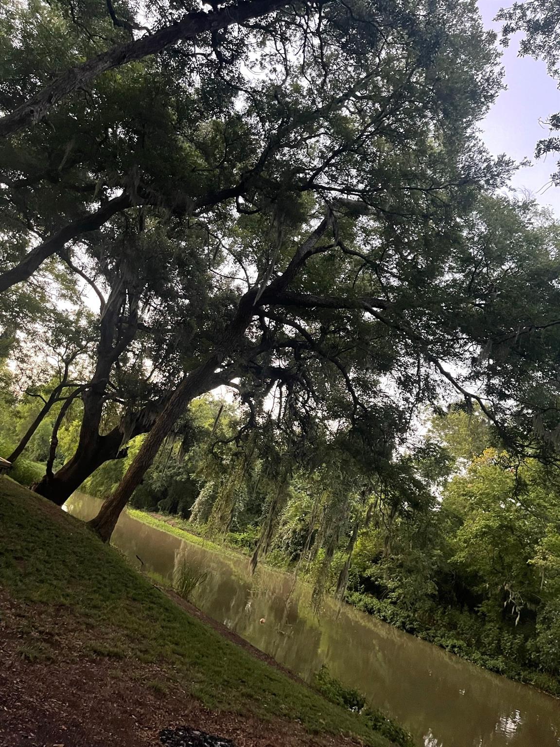208 River Oaks Drive