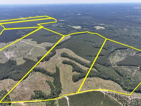 Photo of 4 Union Springs Road, Corrigan, TX 75939 (MLS # 76924095)