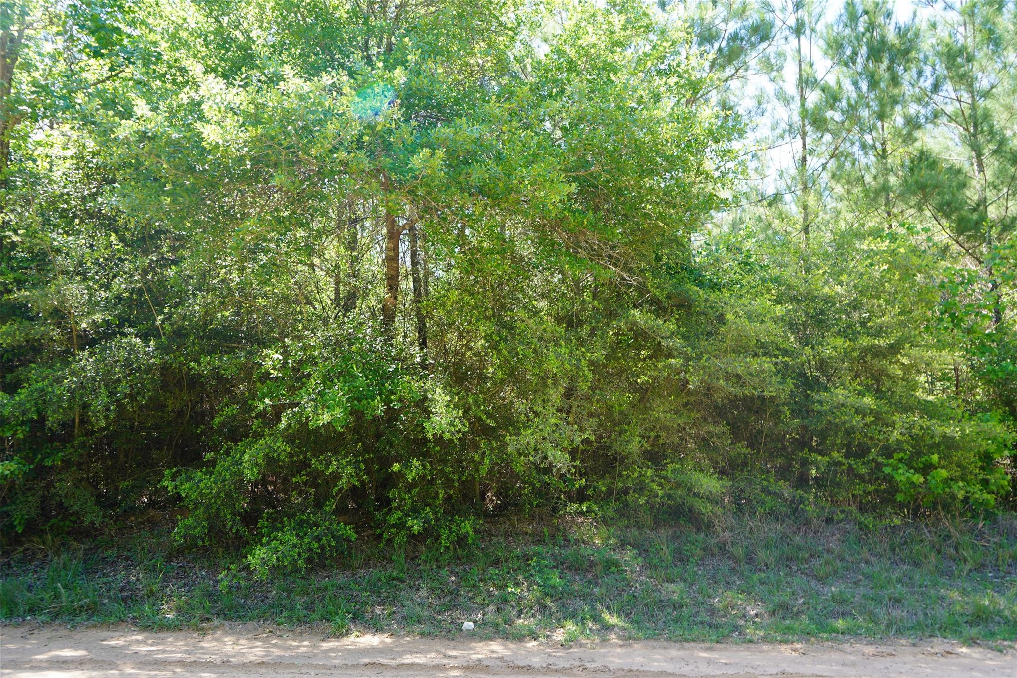 0001 E Tbd Schwab Rd / Sh 146 Road