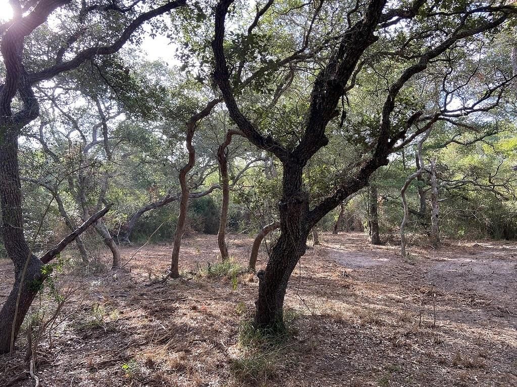 Photo of 0 Loose Cow Road, Garwood, TX 77442 (MLS # 59387464)