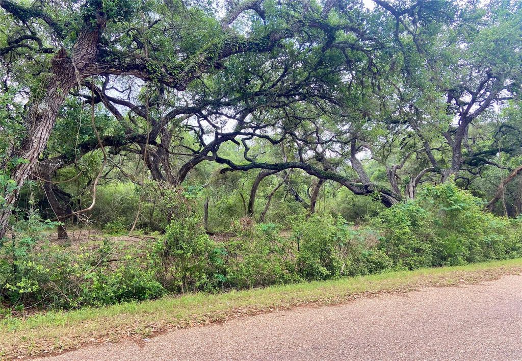 Photo of 0 Loose Cow Road, Garwood, TX 77442 (MLS # 59387464)