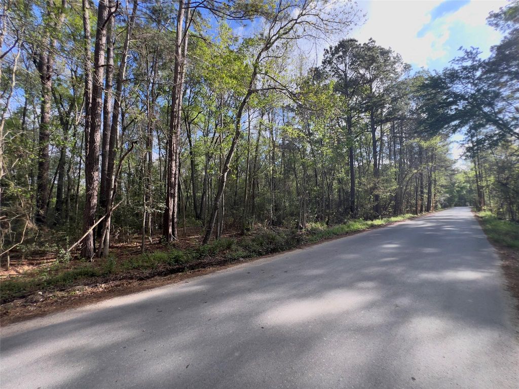 Photo of 25597 Northampton, New Caney, TX 77357 (MLS # 30443735)