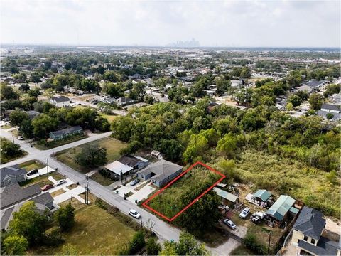 Photo of 5517 Nielan Street, Houston, TX 77028 (MLS # 90500662)