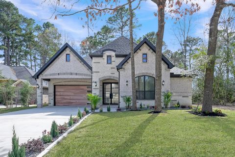 Photo of 135 Wick Willow Road, Montgomery, TX 77356 (MLS # 23422606)