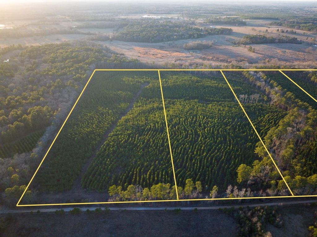 Photo of 5 Cr 4415, Annona, TX 75559 (MLS # 69837539)