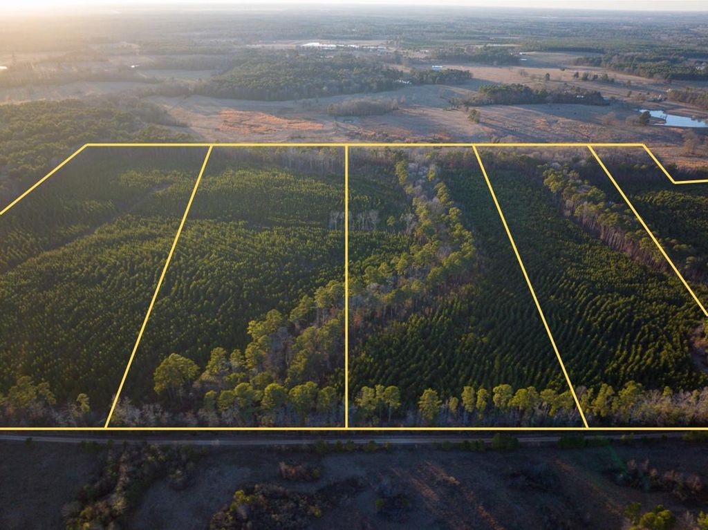 Photo of 5 Cr 4415, Annona, TX 75559 (MLS # 69837539)