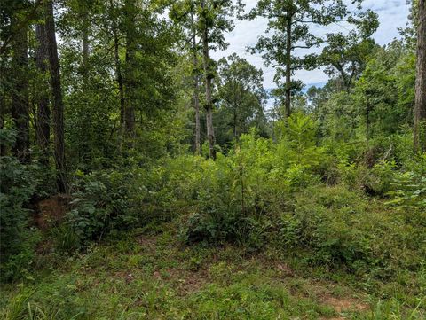 Photo of 161 Ludies Drive, Livingston, TX 77351 (MLS # 82254057)