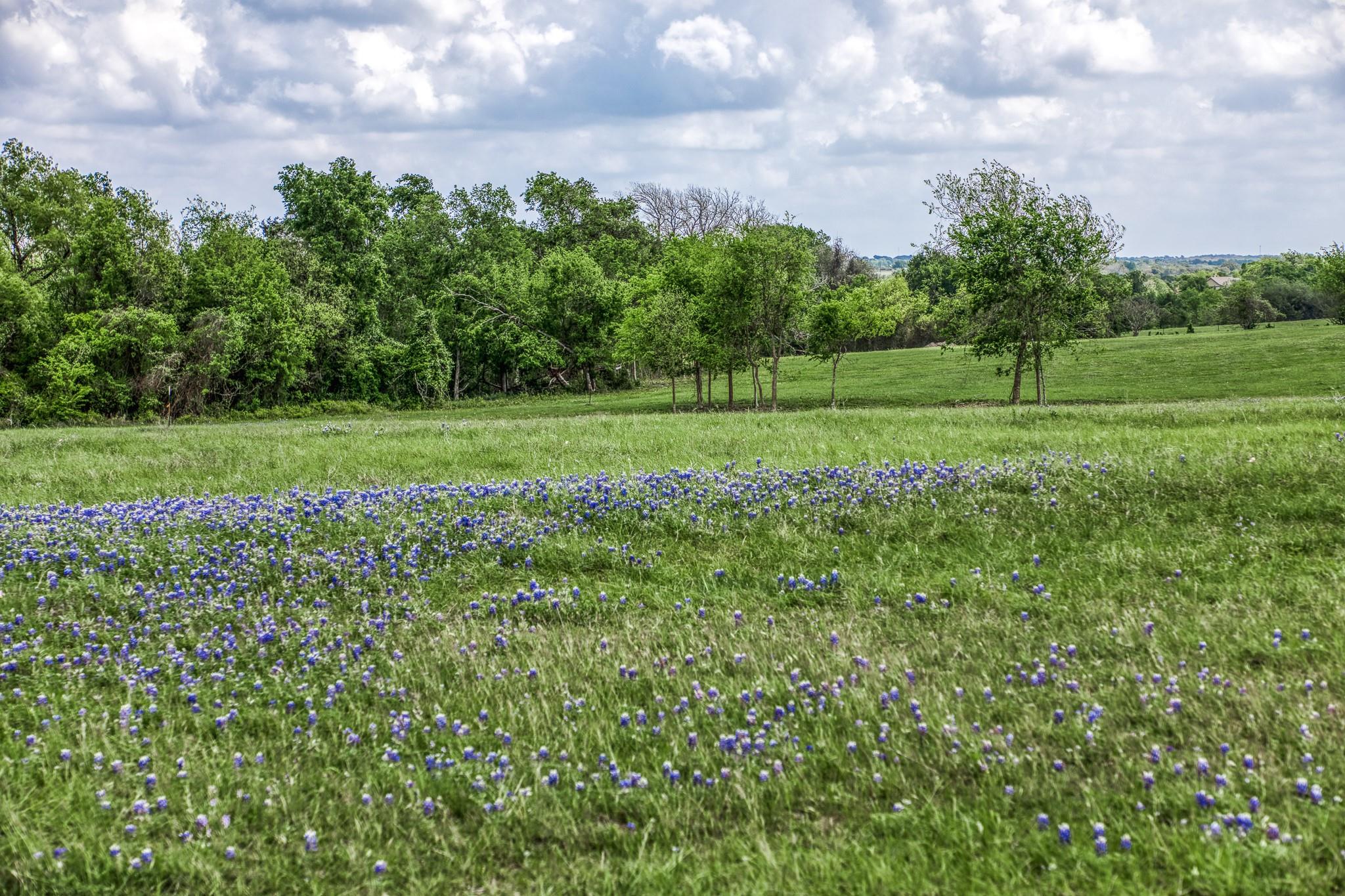 47 Acres Fm 50