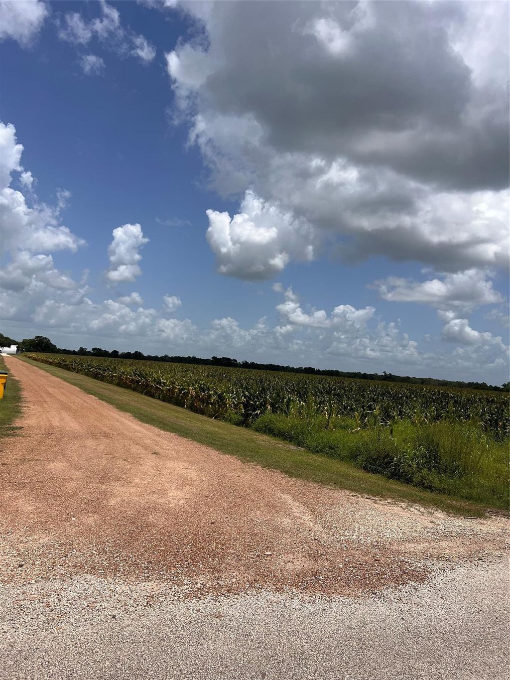 Photo of 1 Tract 2 Svoboda Road, Wallis, TX 77485 (MLS # 27886381)