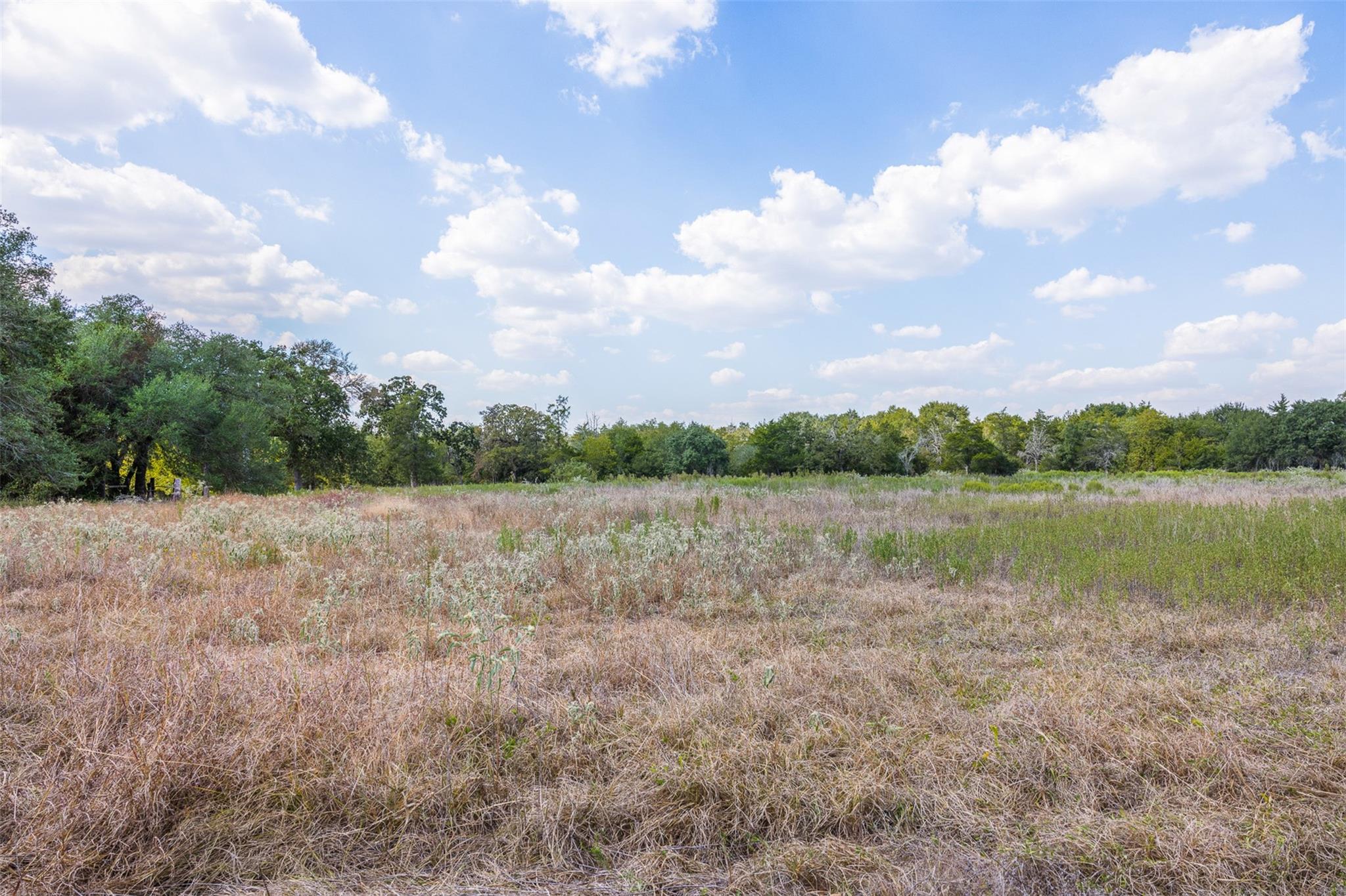 1440 N State Highway 237