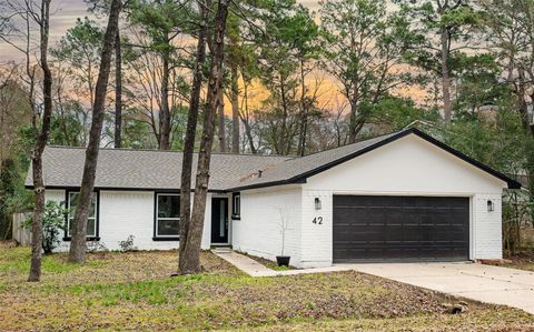 42 S Waxberry Road Spring TX 77381