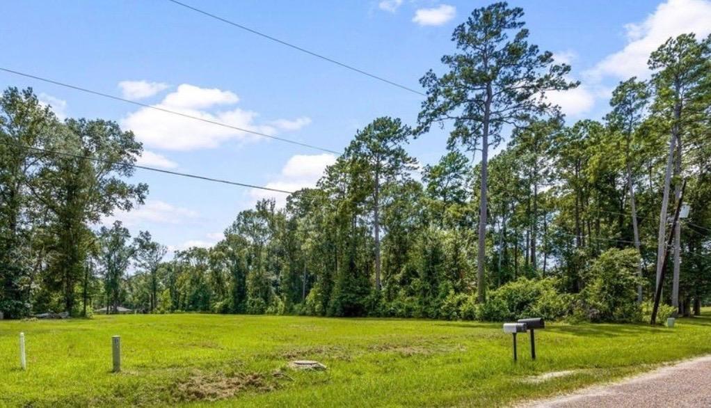 55 Woodbranch B Drive