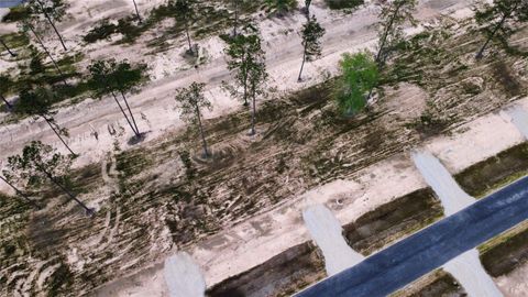 Photo of 18278 Bunsen Drive Dr, Conroe, TX 77306 (MLS # 42094725)