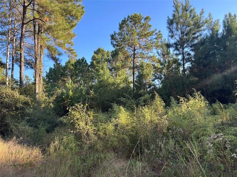 Vacant Land For Sale - TRACT 12B F M 230<br/> Lovelady, TX 77854