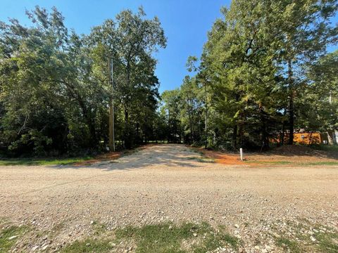 Photo of 473 Brackenridge Road, Livingston, TX 77351 (MLS # 39583267)