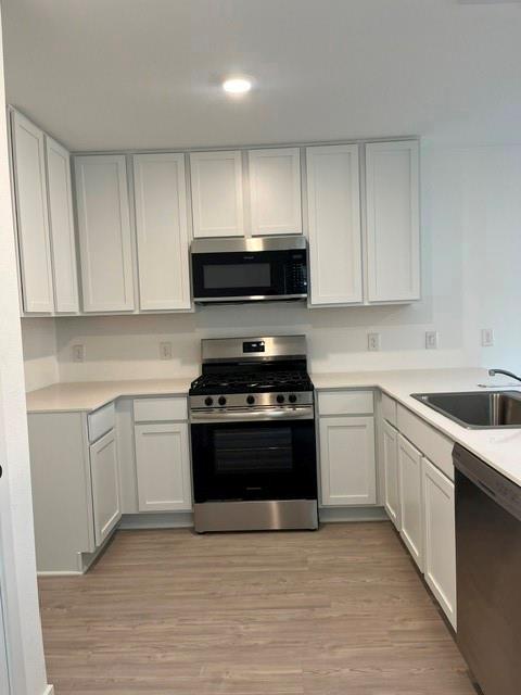 20183 Green Mallard Street