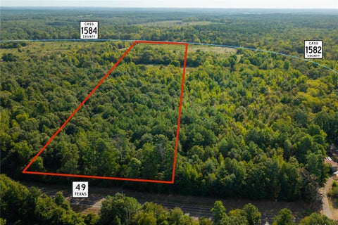 Vacant Land For Sale - LOT 2 County Road 1584<br/> Cass County, Avinger, TX 75630