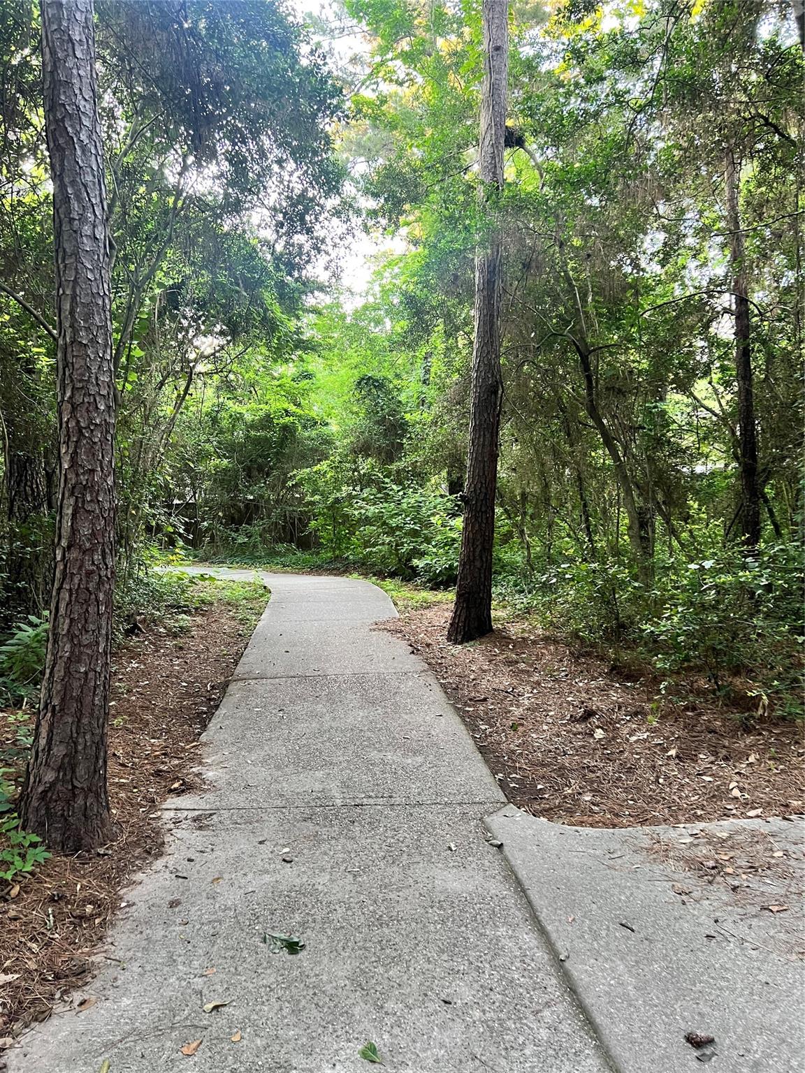 35 N Pathfinders Circle BLANK