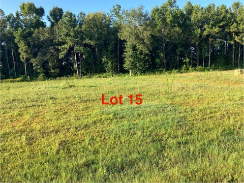 Vacant Land For Sale - 1041 Tarkington Timbers Drive<br/> Cleveland, TX 77327