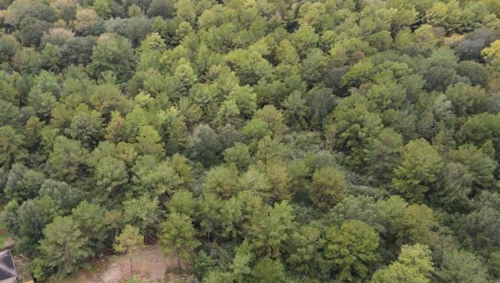 Photo of 3 Washington, Houston, TX 77088 (MLS # 31171554)