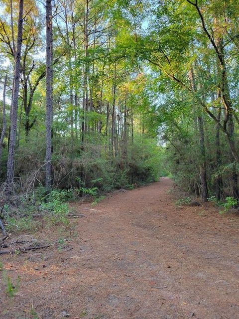 Photo of TBD Honeylocust Lane, Plantersville, TX 77363 (MLS # 52527869)