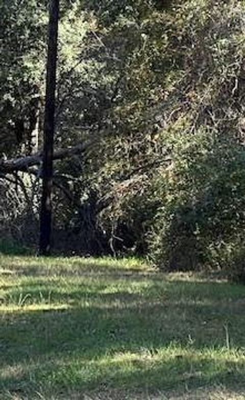 Photo of 24 Clark Road, Plantersville, TX 77363 (MLS # 46094825)