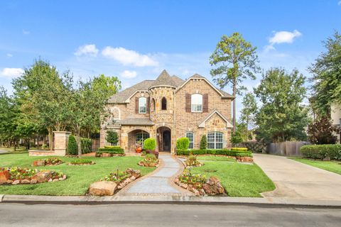 Photo of 20655 Lavone Drive, Porter, TX 77365 (MLS # 71818415)